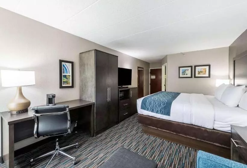 Standard-invahuone King-vuode, Comfort Inn Chicago Schaumburg  O Hare Airport