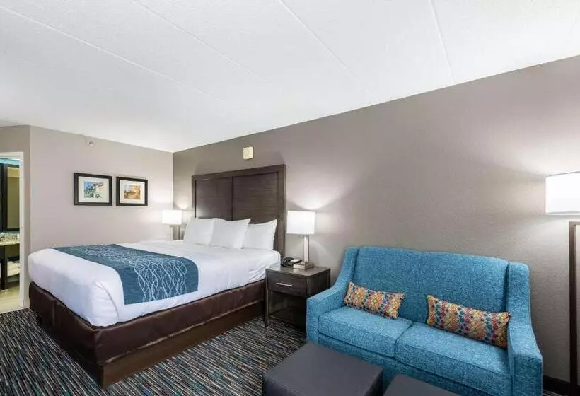 Standard-invahuone King-vuode, Comfort Inn Chicago Schaumburg  O Hare Airport