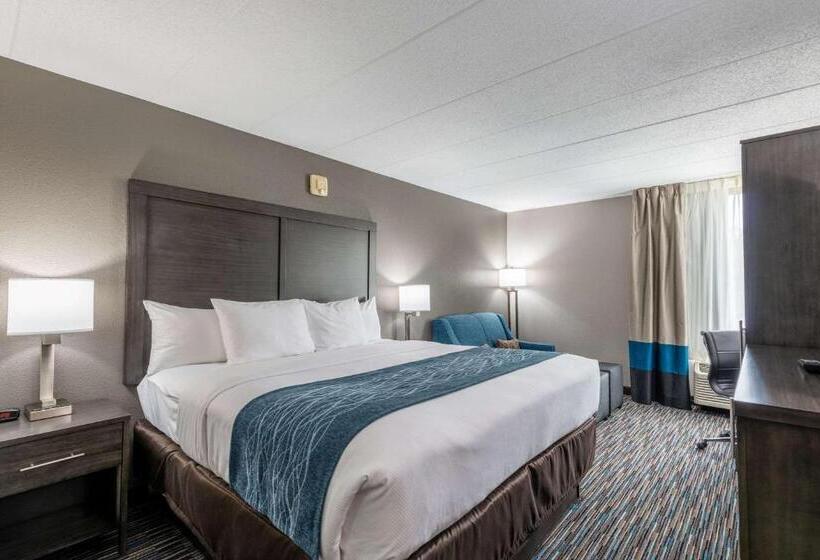 장애인을 위한 킹사이즈 침대 스탠다드 룸, Comfort Inn Chicago Schaumburg  O Hare Airport