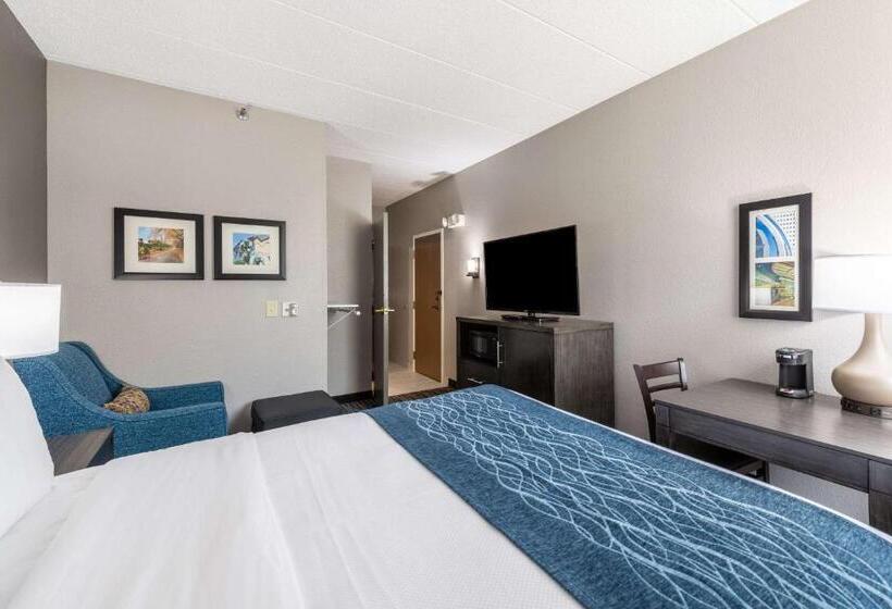 Номер Стандарт Кровать Кинг Адаптированный для Инвалидов, Comfort Inn Chicago Schaumburg O Hare Airport