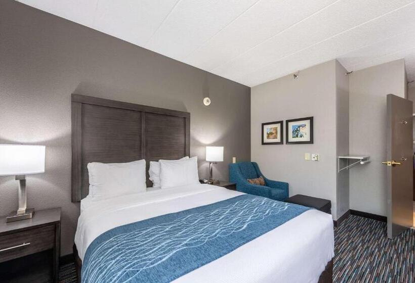 Номер Стандарт Кровать Кинг Адаптированный для Инвалидов, Comfort Inn Chicago Schaumburg O Hare Airport