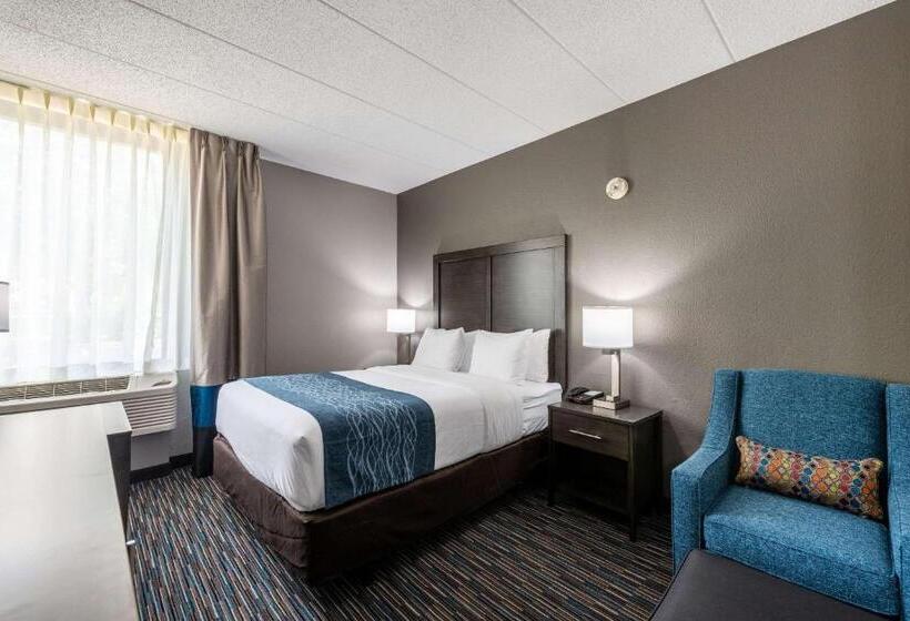 Номер Стандарт Кровать Кинг Адаптированный для Инвалидов, Comfort Inn Chicago Schaumburg O Hare Airport