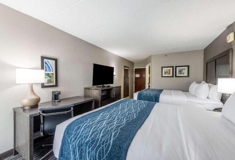 스탠다드 룸 더블 침대 2개, Comfort Inn Chicago Schaumburg  O Hare Airport