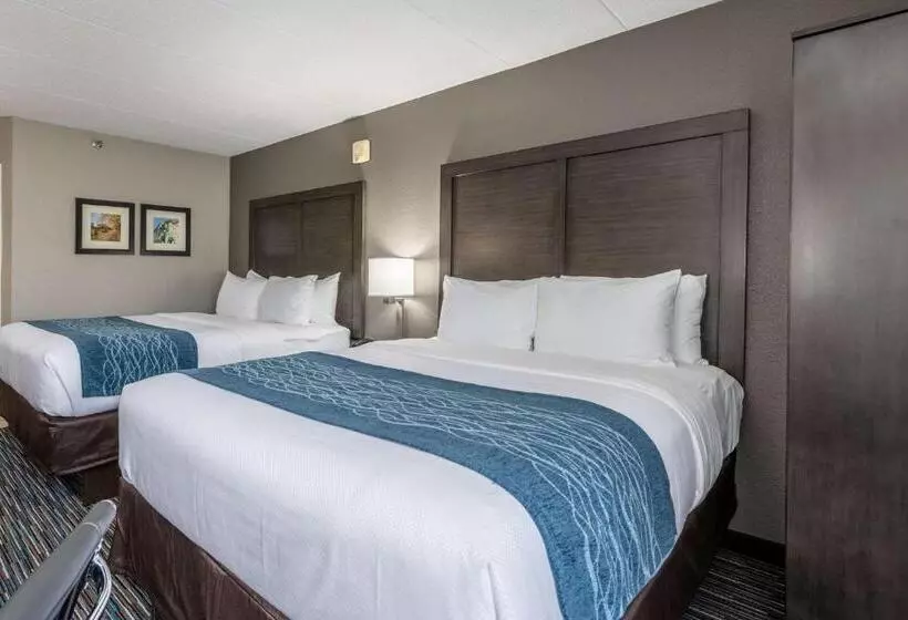 Standard-huone 2 Parivuodetta, Comfort Inn Chicago Schaumburg  O Hare Airport