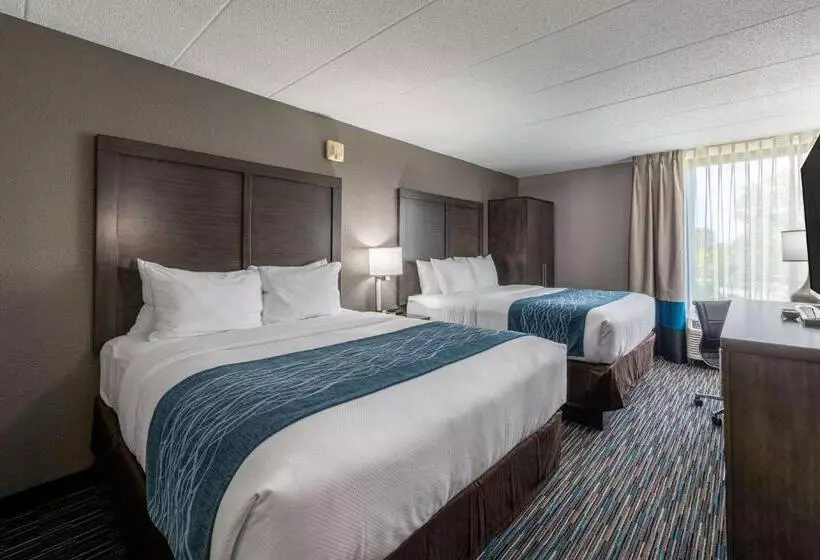 Standard-huone 2 Parivuodetta, Comfort Inn Chicago Schaumburg  O Hare Airport