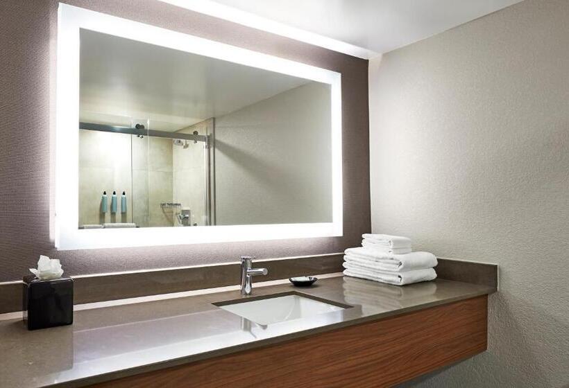 스탠다드 룸, Courtyard Vallejo Napa Valley