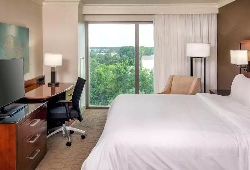 キングサイズベッドのスタンダードルーム, Delta Hotels By Marriott Chesapeake Norfolk