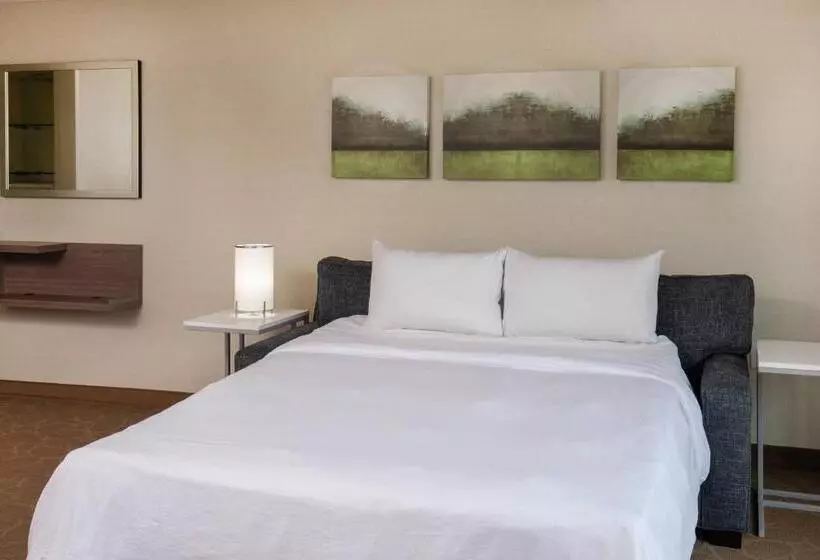 キングサイドベッドのスタンダードワンルーム, Delta Hotels By Marriott Chesapeake Norfolk