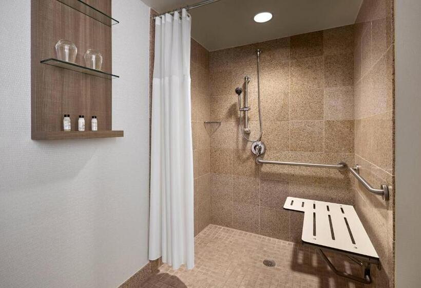 장애인용 디럭스룸, Delta Hotels By Marriott Chesapeake Norfolk