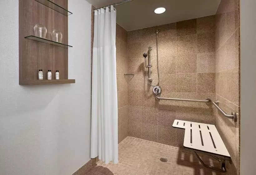 障害者適応デラックスルーム, Delta Hotels By Marriott Chesapeake Norfolk