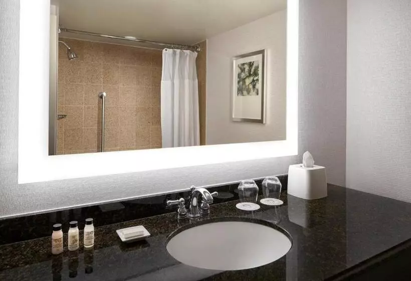 障害者適応デラックスルーム, Delta Hotels By Marriott Chesapeake Norfolk