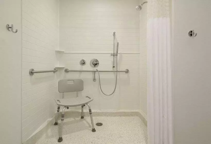 身障者適用ダブルベッド付きスタンダードルーム, Hampton Inn Reading/wyomissing