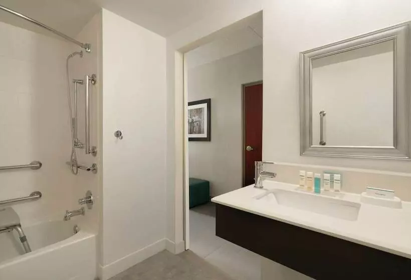 身障者適用ダブルベッド付きスタンダードルーム, Hampton Inn Reading/wyomissing