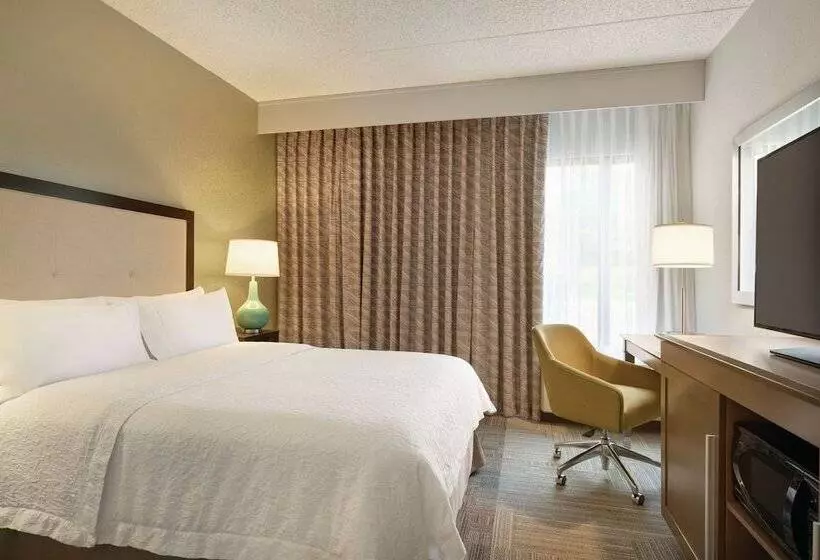 身障者適用ダブルベッド付きスタンダードルーム, Hampton Inn Reading/wyomissing
