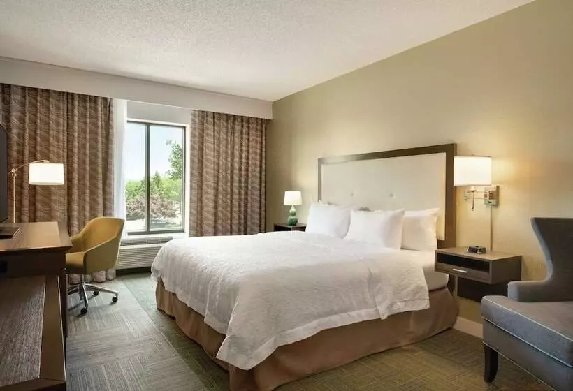 身障者適用ダブルベッド付きスタンダードルーム, Hampton Inn Reading/wyomissing