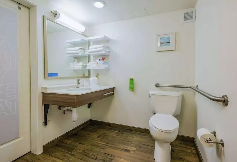 اتاق استاندارد با 2 تخت دوبل, Hampton Inn Tampainternational Airport/westshore