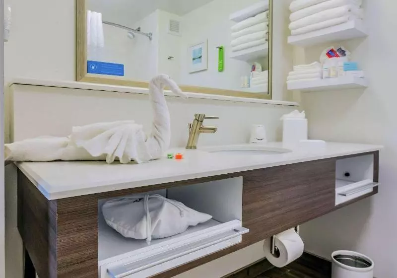 اتاق استاندارد, Hampton Inn Tampainternational Airport/westshore