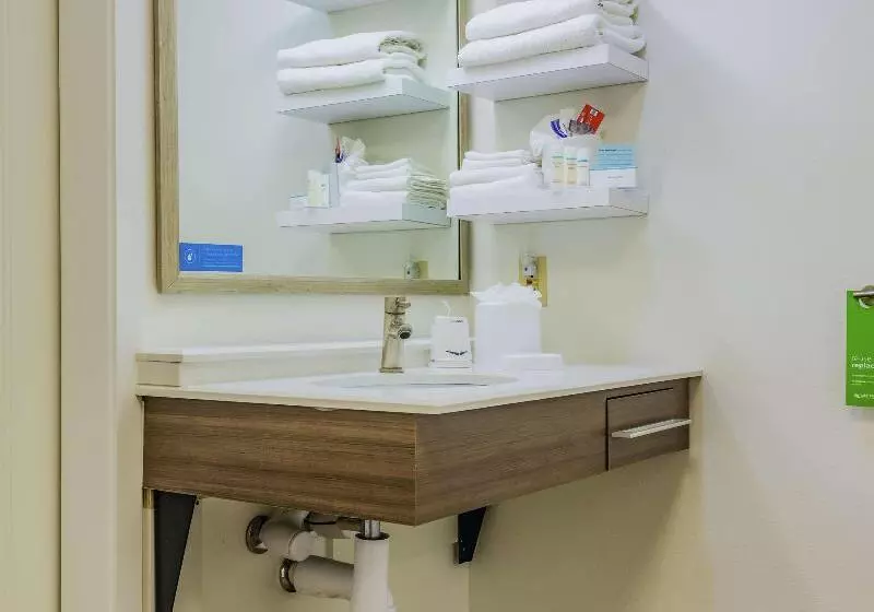 اتاق استاندارد, Hampton Inn Tampainternational Airport/westshore
