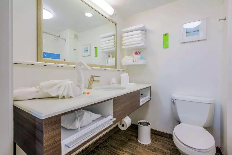 اتاق استاندارد, Hampton Inn Tampainternational Airport/westshore