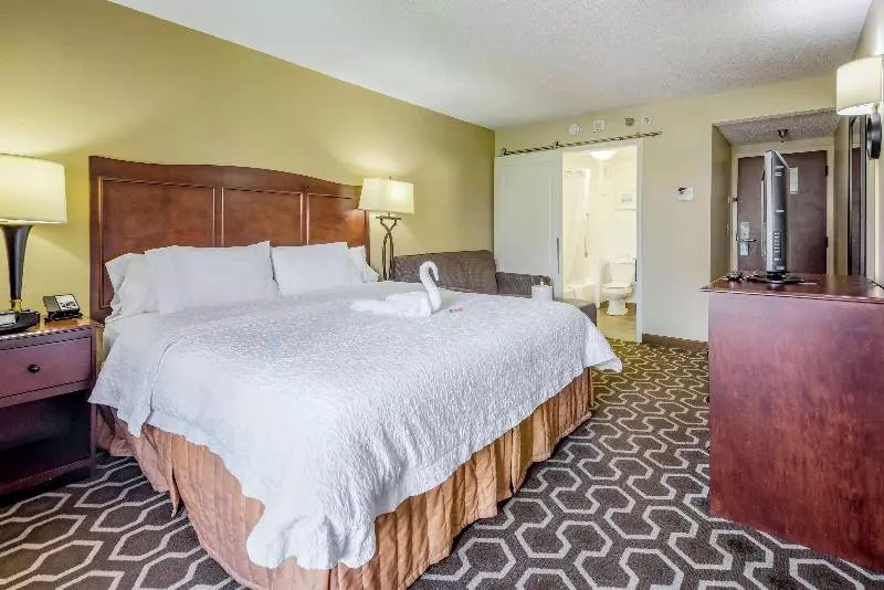 اتاق استاندارد با تخت بزرگ, Hampton Inn Tampainternational Airport/westshore