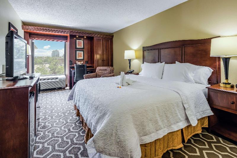 キングサイズベッドのスタンダードルーム, Hampton Inn Tampainternational Airport/westshore