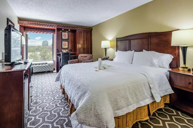 اتاق استاندارد با تخت بزرگ, Hampton Inn Tampainternational Airport/westshore