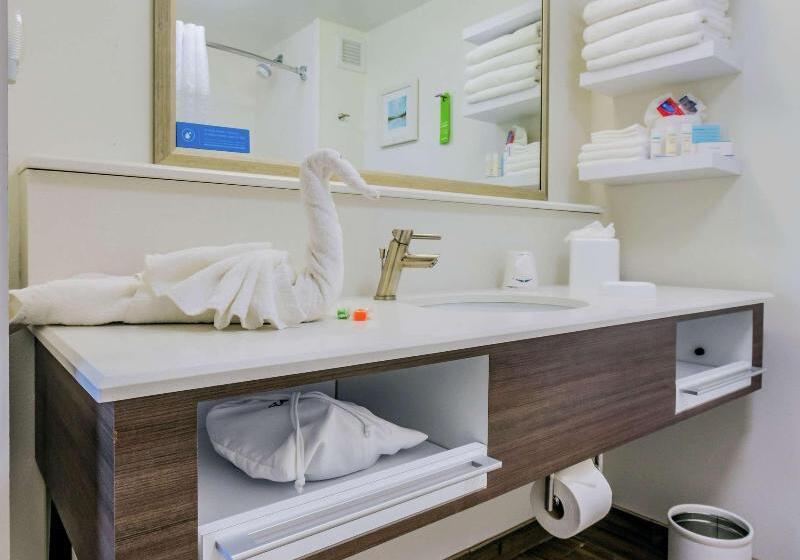 غرفة قياسية سرير كينج, Hampton Inn Tampainternational Airport/westshore