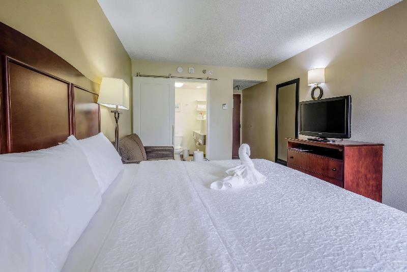 キングサイズベッドのスタンダードルーム, Hampton Inn Tampainternational Airport/westshore