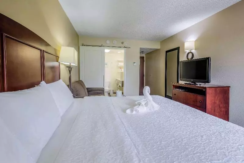 اتاق استاندارد با تخت بزرگ, Hampton Inn Tampainternational Airport/westshore