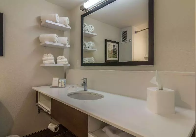 キングサイズベッドのスタンダードルーム, Hampton Inn Winchester University/mall Area