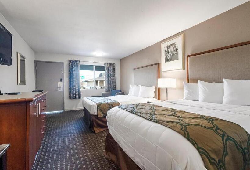 غرفة قياسية, Heritage Inn Express Hayward