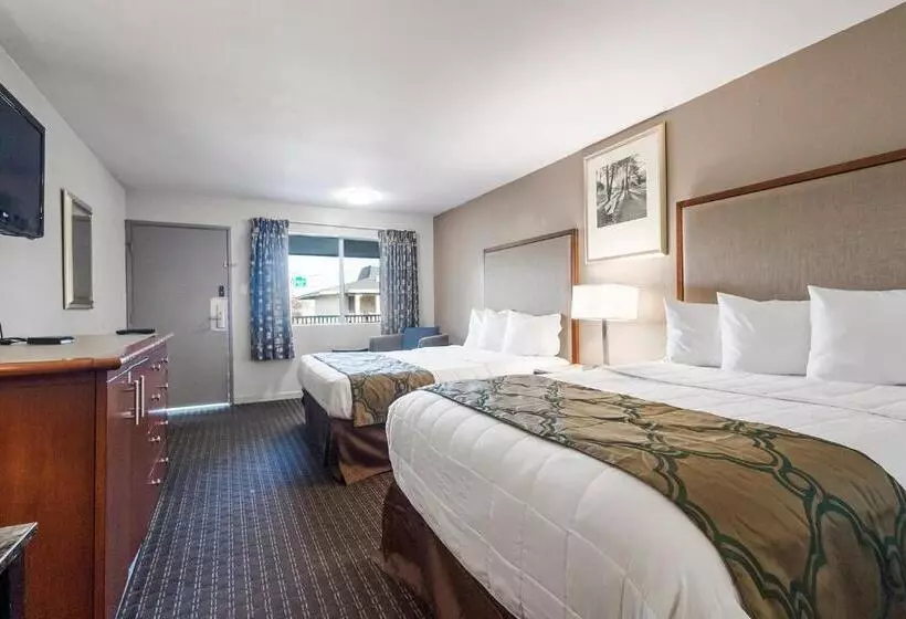 اتاق استاندارد, Heritage Inn Express Hayward