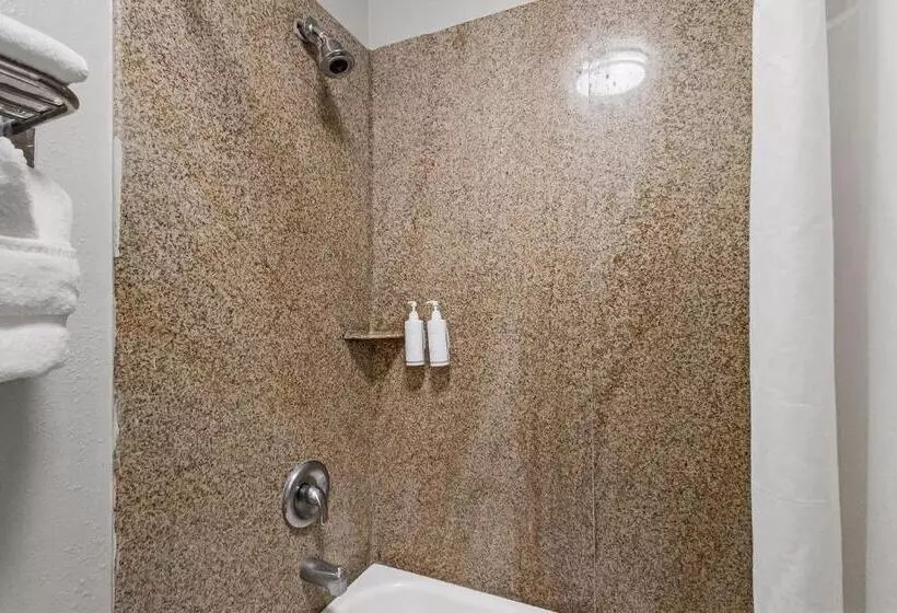 اتاق استاندارد با تخت بزرگ, Heritage Inn Express Hayward