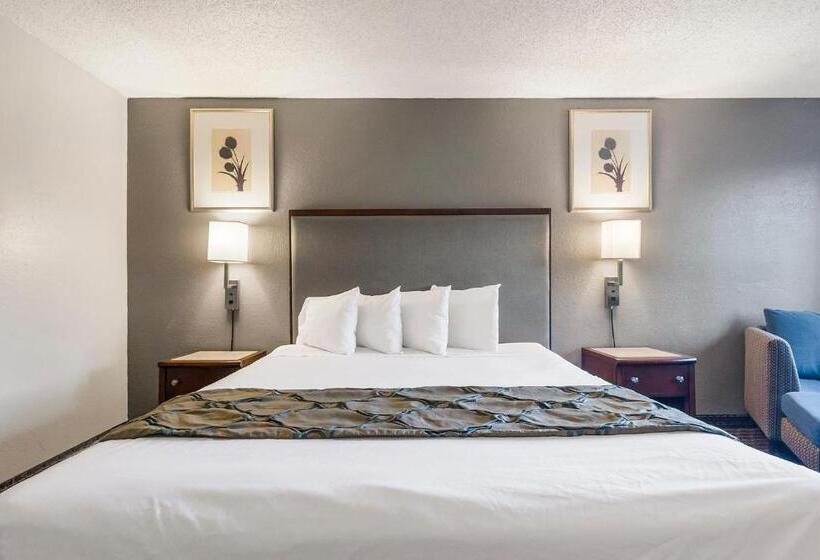 غرفة قياسية سرير كينج, Heritage Inn Express Hayward