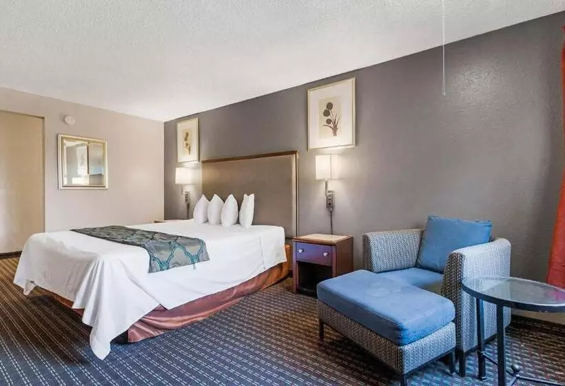 اتاق استاندارد با تخت بزرگ, Heritage Inn Express Hayward