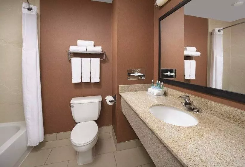 スタンダードルーム, Holiday Inn Express & Suites By Ihg Chambersburg, An Ihg