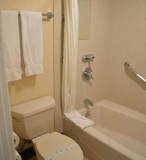 اتاق استاندارد با تخت بزرگ, Ontario Airport Inn