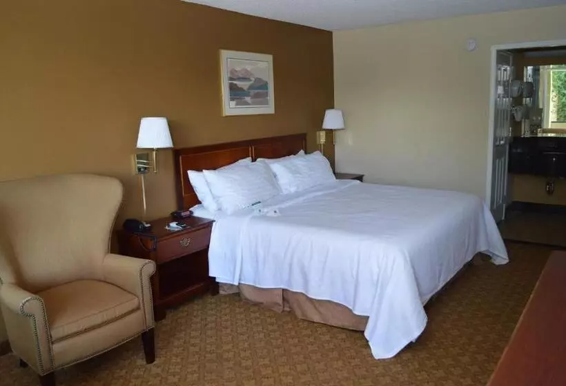 اتاق استاندارد با تخت بزرگ, Ontario Airport Inn
