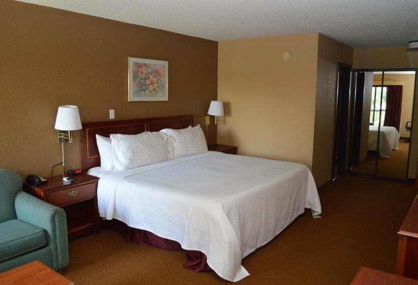 غرفة قياسية سرير كينج, Ontario Airport Inn