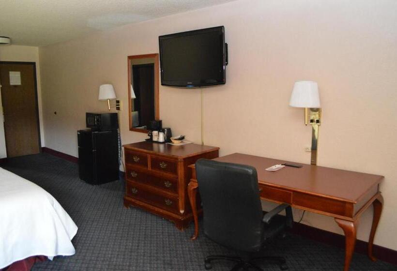 غرفة قياسية سرير كينج, Ontario Airport Inn