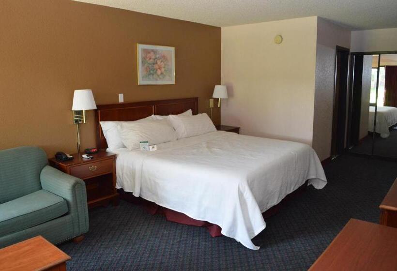 غرفة قياسية سرير كينج, Ontario Airport Inn