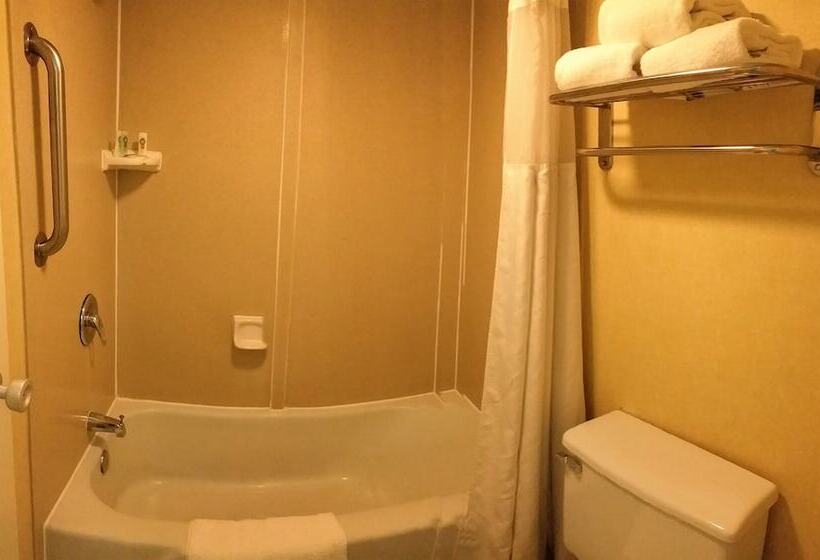 חדר סטנדרט שתי מיטות זוגיות, Quality Inn On Historic Route 66