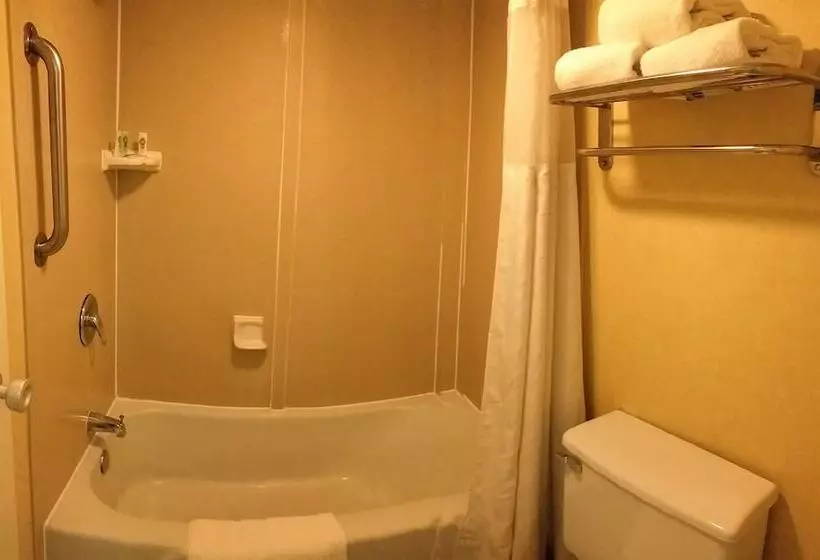 اتاق استاندارد با 2 تخت دوبل, Quality Inn On Historic Route 66