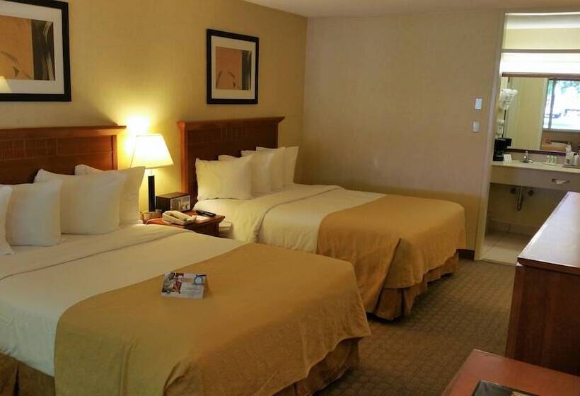 ２ダブルベッドのスタンダードルーム, Quality Inn On Historic Route 66