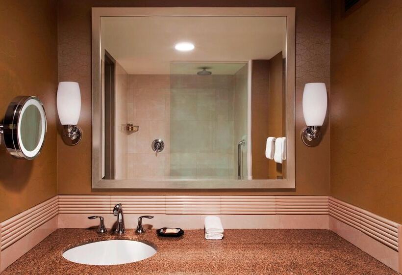 带2个双人床的标准工作室, Sheraton Greensboro