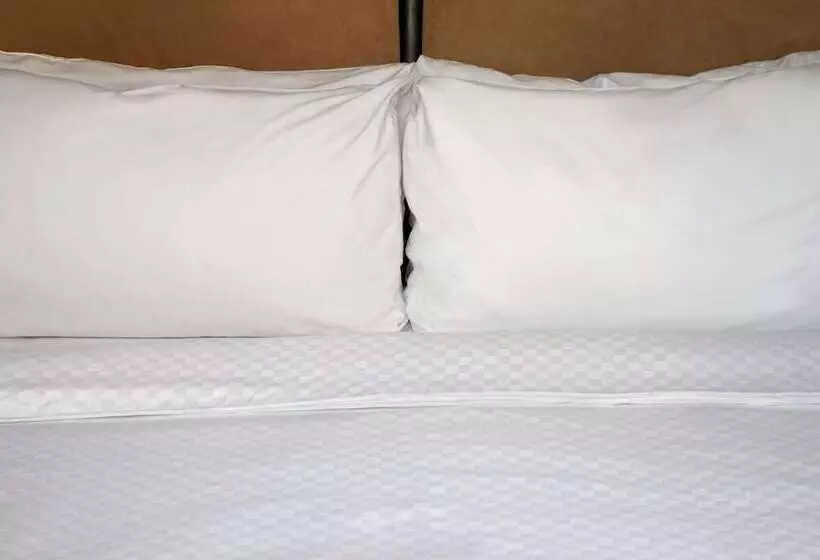 اتاق استاندارد با 2 تخت دوبل, Sheraton Greensboro