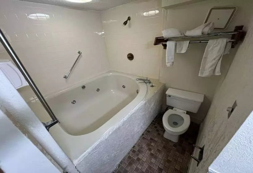 スイート, Super Inn And Suites Milledgeville