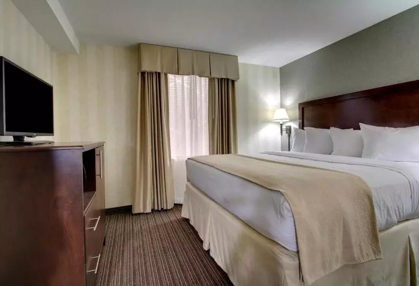 اتاق استاندارد با تخت بزرگ, The Atrium Hotel On Third