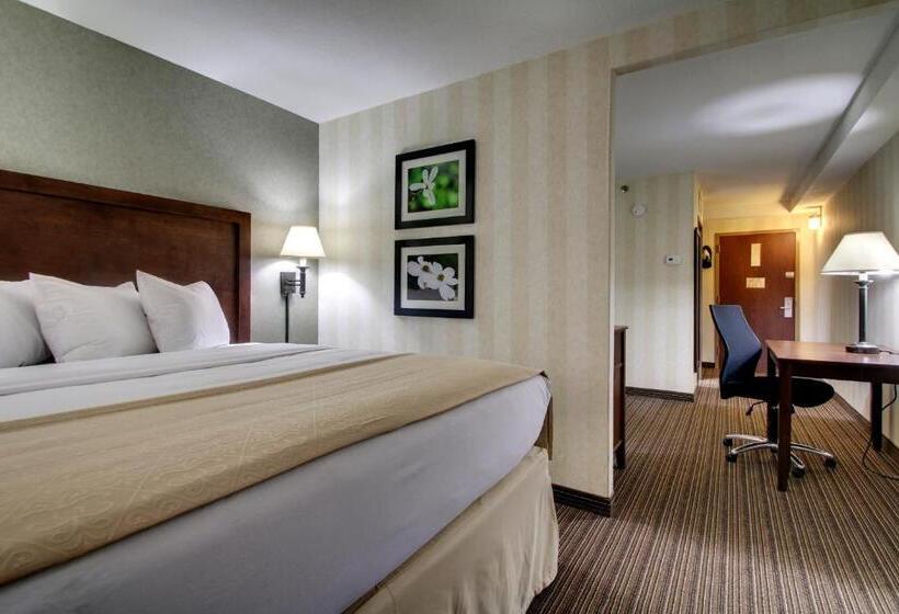 Стандартный Номер Кровать Кинг, The Atrium Hotel On Third