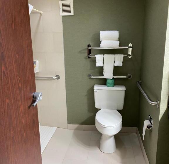 Номер Стандарт Кровать Кинг Адаптированный для Инвалидов, The Atrium Hotel On Third